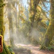 Redwood National and State Parks Photography in 4K | ProArtInc