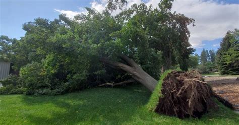 City of Spokane totals $3 million in wind storm damage | Spokane News ...