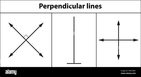 2D shapes basic Lines. Perpendicular lines. vector illustration. on ...