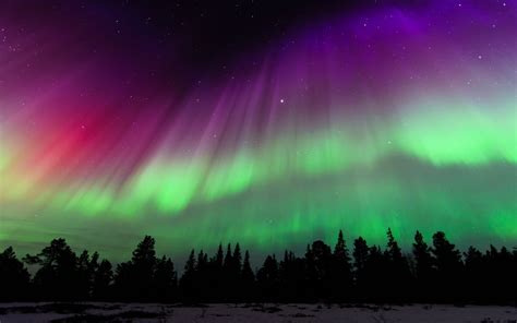 Aurora Borealis 4k Ultra HD Wallpaper and Background | 4840x3025 | ID ...