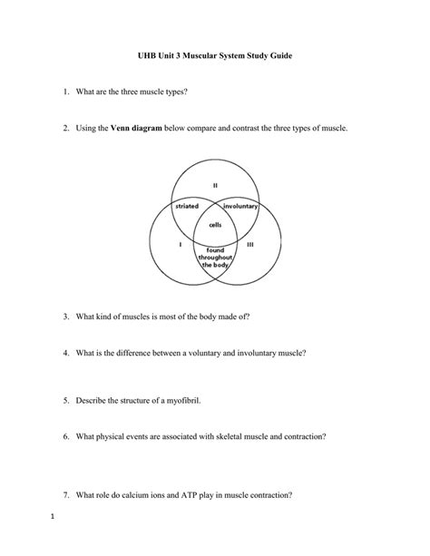 Involuntary Muscles Diagram - Blogger Lagi