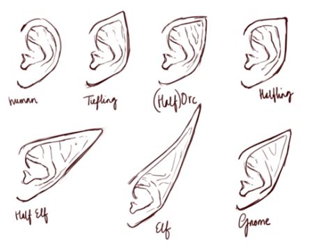 Explore collection of Elf Ears Drawing in 2021 | How to draw ears, Elf ears, Elf drawings