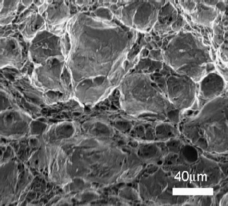 SEM micrograph of ductile fracture surface representing toughness ...