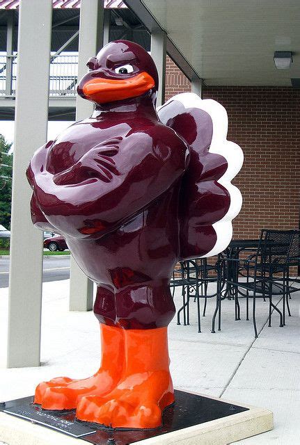 VT Hokie Bird | Hokie bird, Hokies, Virginia tech hokies