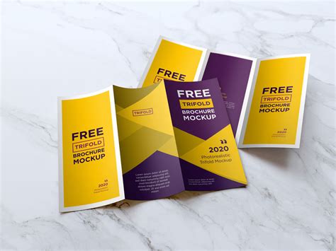 Free DL Tri-Fold Brochure Mockup | Mockuptree