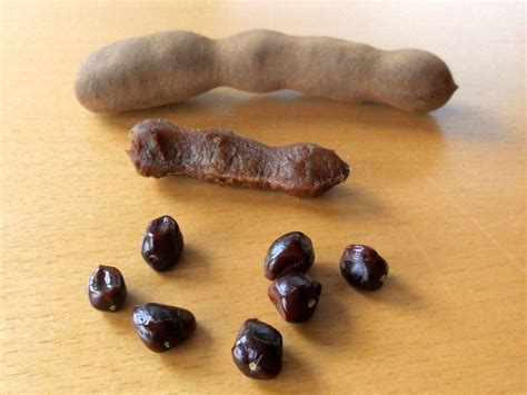 Tamarind Benefits: Secret Tips of Tamarind Seeds - Myanmar Business