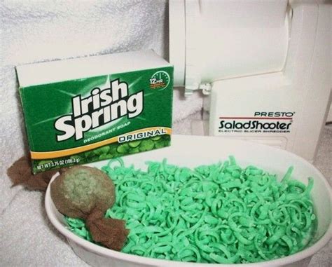 Homemade squirrel repellant: Grate a bar of original scent Irish Spring ...