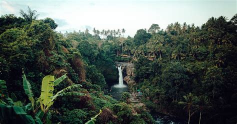 Rainforest Waterfall Tours | Jaco Beach & Los Suenos ,Costa Rica