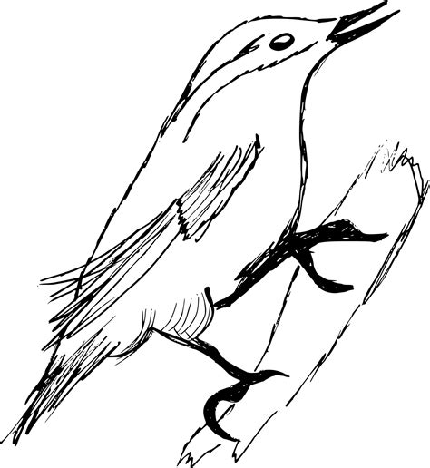 Free Black And White Bird Drawing, Download Free Black And White Bird Drawing png images, Free ...