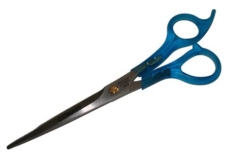 File:Hair Cutting Scissors.jpg - Wikimedia Commons