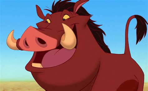 How I Relate to Pumbaa from The Lion King - Sensitive Refuge