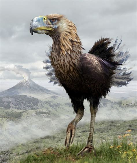 Phorusrhacids, known as terror birds, are a group of extinct ...