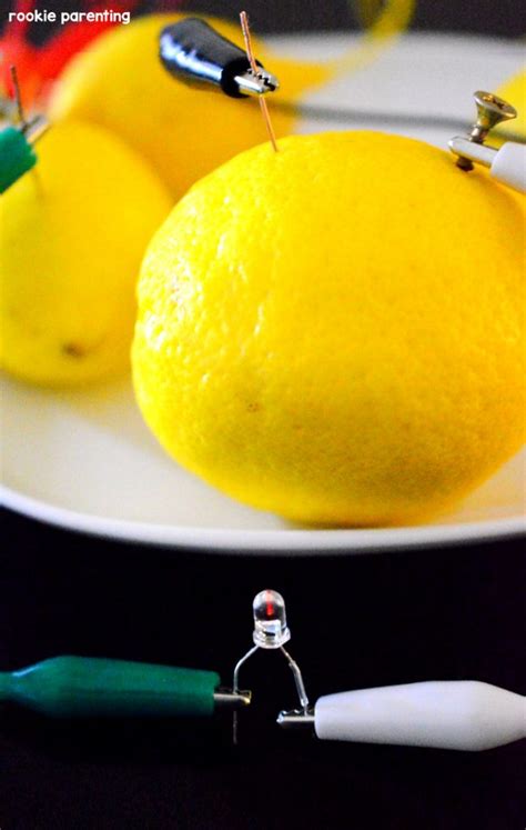 Lemon Light Bulb Experiment