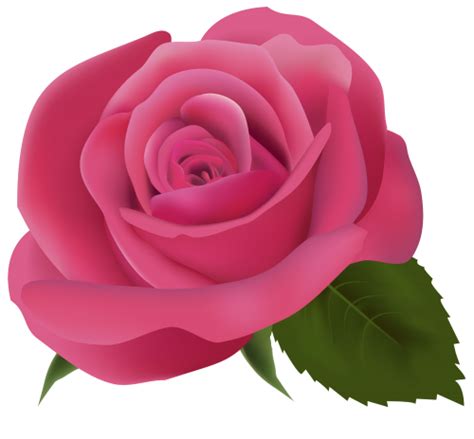 Pink Rose PNG Clipart Image - Best WEB Clipart | clip art | Pinterest ...