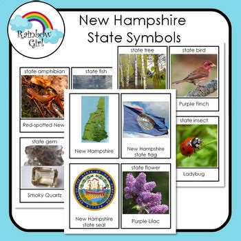 New Hampshire State Symbols by Rainbow Girl | Teachers Pay Teachers