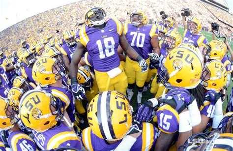 Another Football team I like LSU tigers | Lsu, Lsu football, Louisiana