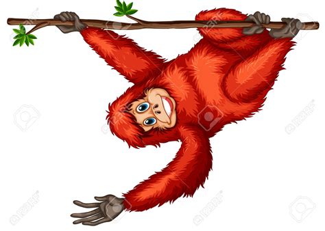 Orangutan clipart 20 free Cliparts | Download images on Clipground 2024