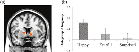 Main effect of group. (a) The ventral striatum showed significant... | Download Scientific Diagram