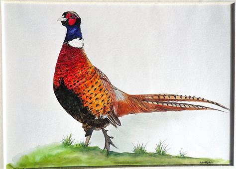 Pheasant Painting | Animal paintings, Bird prints, Animal art