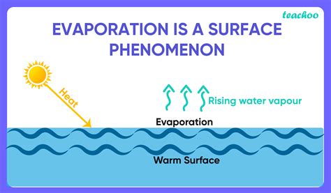 Why is Evaporation called a surface phenomenon? - Teachoo