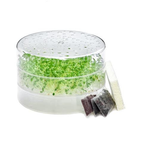 Sprouting Kit with SproutPearl Sprouter + Sprout seeds + Sponge