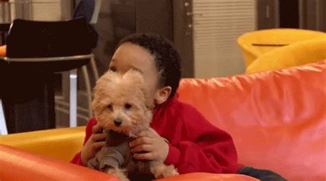 Puppy Hug GIFs - Find & Share on GIPHY