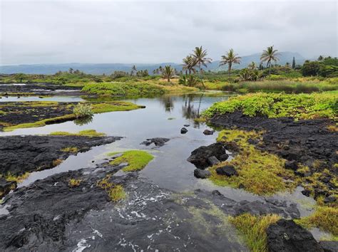 Koloa Beach, Pahala - Hawaii Beaches