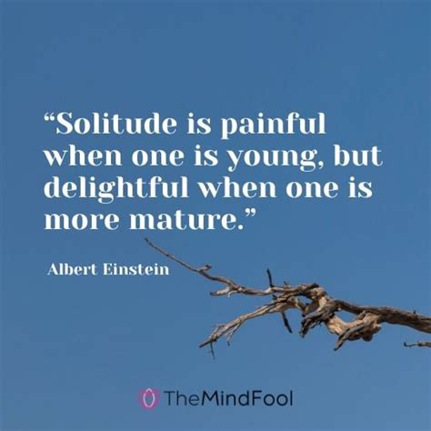 101 Solitude Quotes To Clear Mind from Chaos | TheMindFool