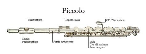 Piccolo Instrument Parts