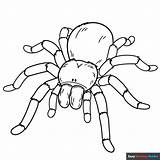 Tarantula Jumping Ausmalbild Aranhas Springspinne Vogelspinne Spiders  sketch template