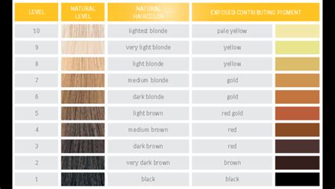 how to read hair color numbers and letters 2021 ultimate guide - blonde hair color chart to find ...