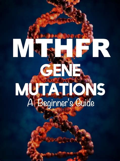 MTHFR Gene Mutations: A Beginner's Guide | Mthfr gene, Mthfr, Mthfr gene mutation