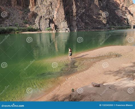 Young Woman in the Colorado River in Grand Canyon National Park. Editorial Stock Photo - Image ...