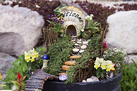 Believe in Magic –Fairy Garden Inspiration | Espoma