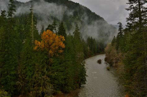 Weather Closes Staircase and Other Areas of Olympic National Park for ...