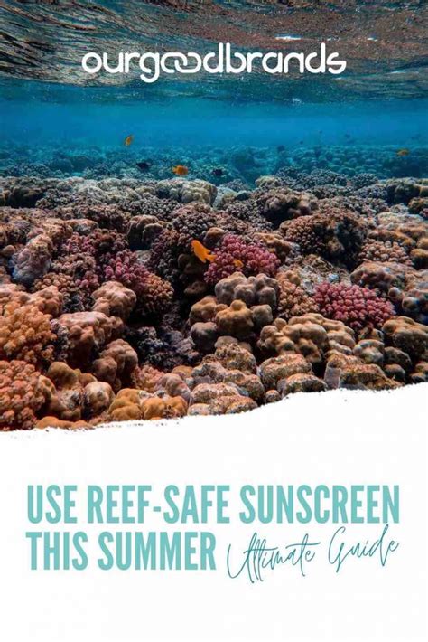 Use reef-safe sunscreen this summer [Ultimate Guide] | Ourgoodbrands