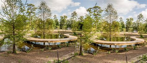 Houston Arboretum & Nature Center - Houston | Arboretum, Healthy landscape, Nature center