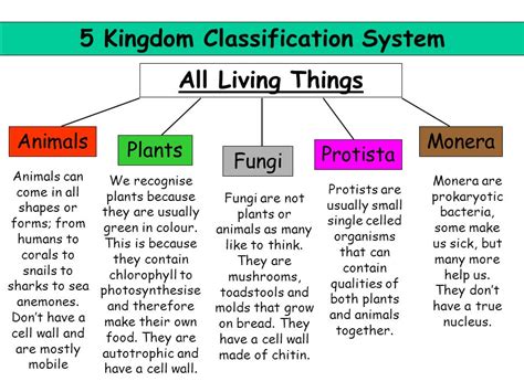 natural science - living things - LA ESCUELA TEACHER BELEN