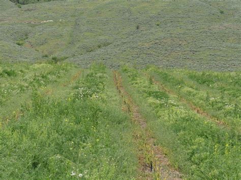 Towards an Indigenous Agriculture: Land Reform for British Columbia ...