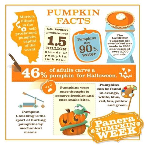 Pumpkin Facts | Teaching Ideas | Pinterest