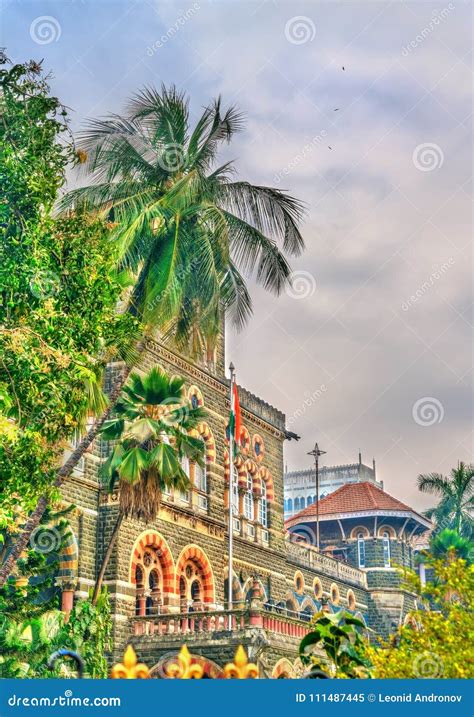 Palm Tree at a Palace in Mumbai, India Stock Image - Image of colonial ...