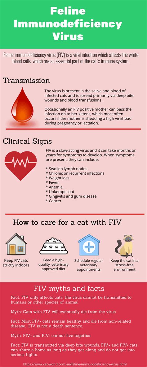 Feline Immunodeficiency Virus - Cat-World