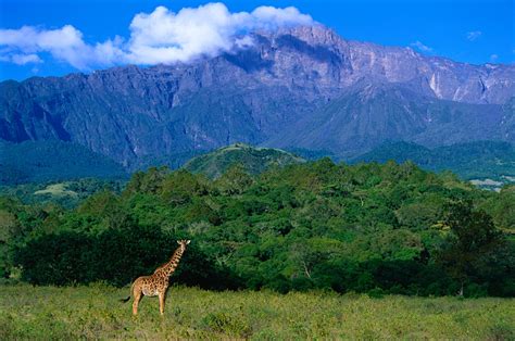 Arusha National Park travel | Northern Tanzania, Tanzania - Lonely Planet