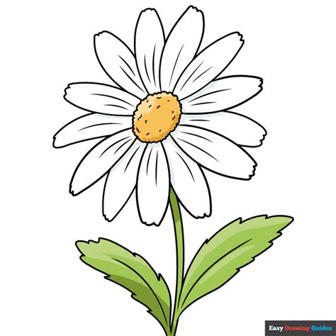 How To Draw A Perfect Flower Step By Step