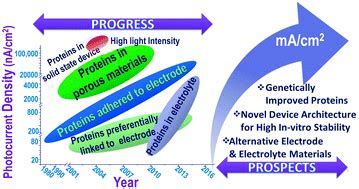 Progress and perspectives in exploiting photosynthetic biomolecules for solar energy harnessing ...