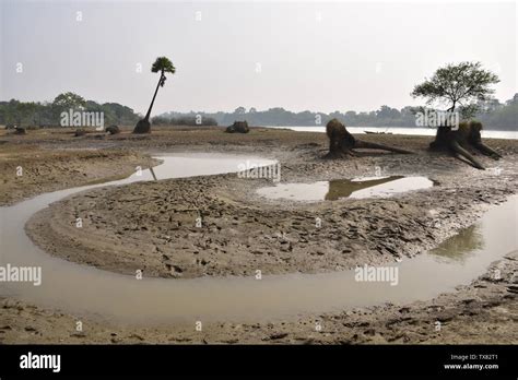 Damodar river, West Bengal, India Stock Photo - Alamy