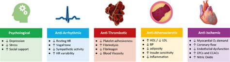 Different domains of cardioprotective effects of habitual physical... | Download Scientific Diagram