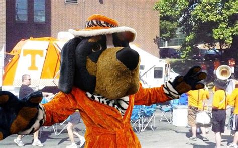 Tennessee Volunteers mascot Smokey on a Vols game day. | Tennessee volunteers mascot, Tennessee ...