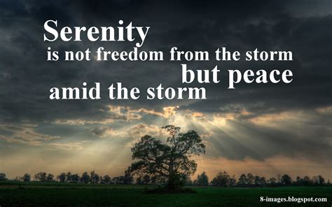 Serenity is not freedom from the storm but peace amid the storm - Quotes