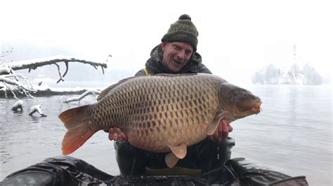 Carp fishing at Lake Bled - December 2019 - YouTube